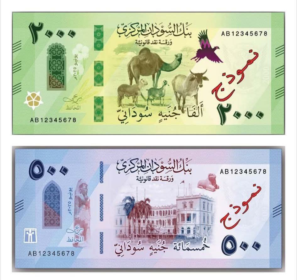 غلاف المقال