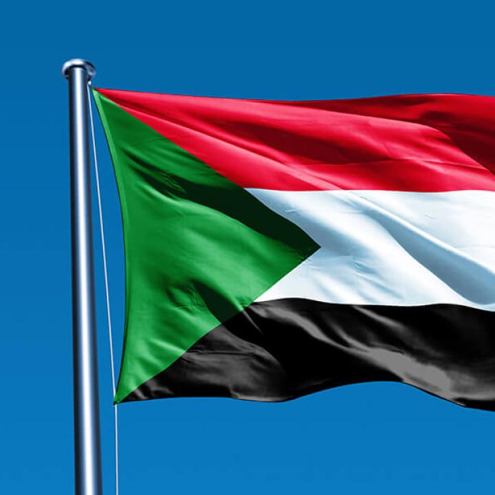 غلاف المقال