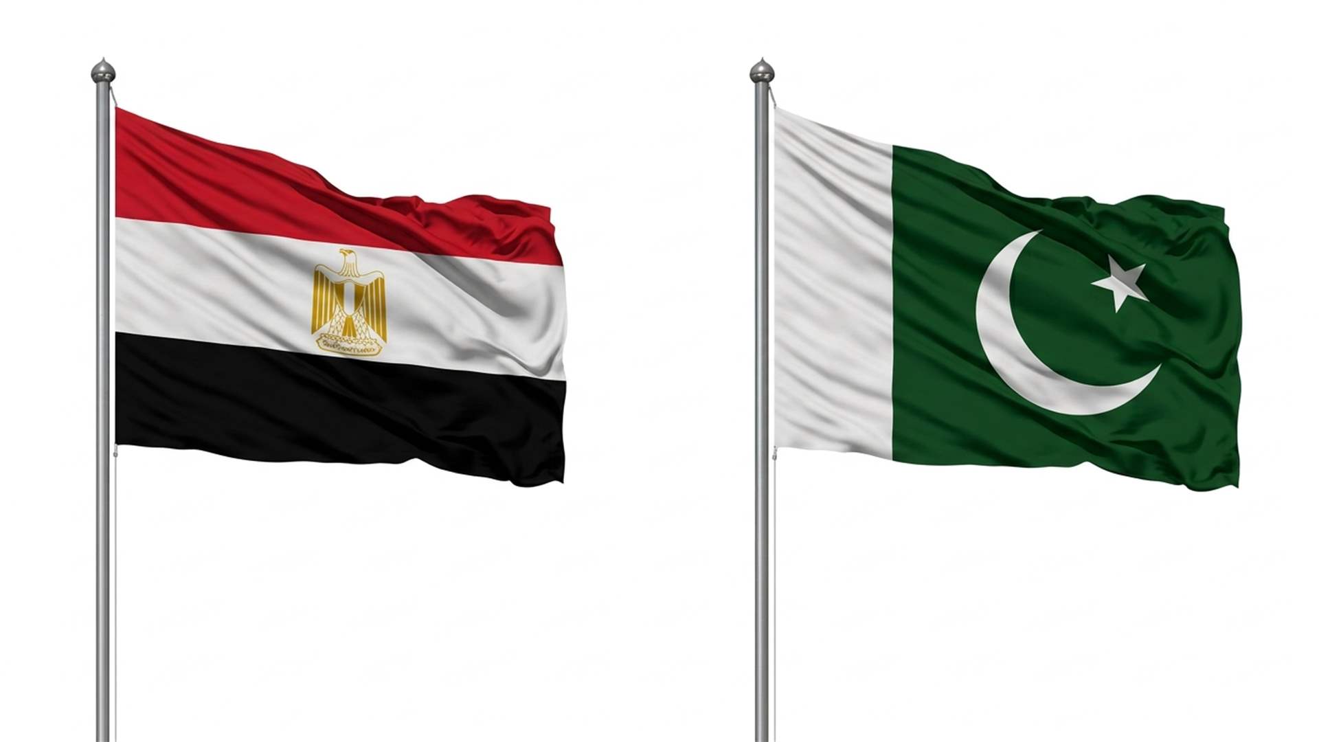 غلاف المقال