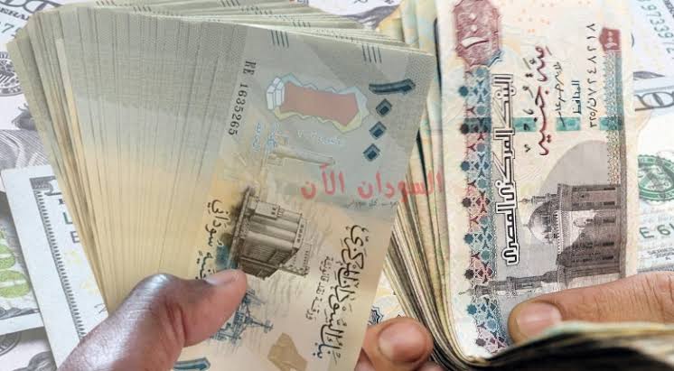 غلاف المقال